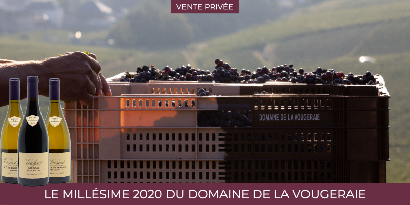 Les irrésistibles vins du Domaine de la Vougeraie, les 2020 enfin disponibles !